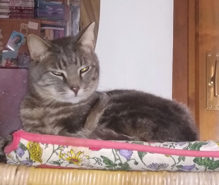 IMG_20210104_113301892