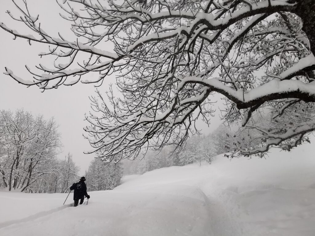 IN ARRIVO PIOGGE ABBONDANTI E NEVE IN MONTAGNA