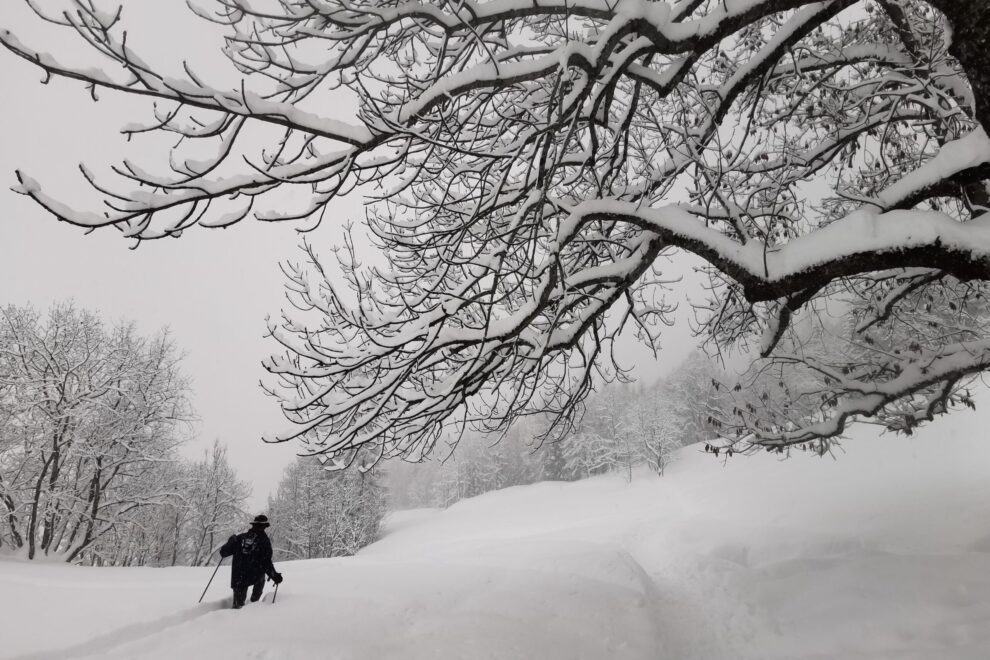 Neve 02_Archivio DOLOM.IT