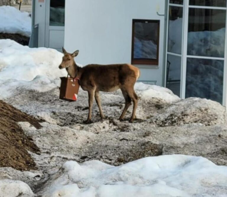 a2b3fe56-6c27-4623-8fbd-0fc7d4351c33