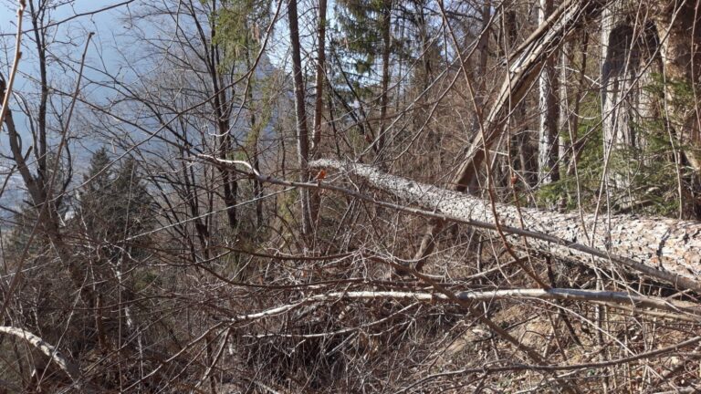 f25fc823-bbd8-450b-9146-3dc2bad919c5