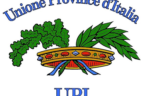 upi_logo