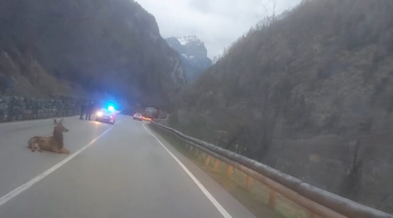 169538284_167550321887848_4731680591694196233_n