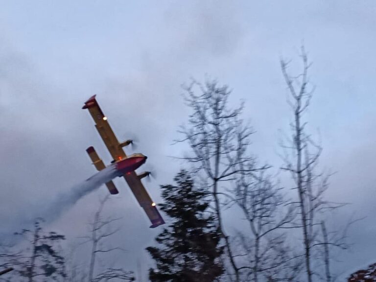 171163303_10158112912617544_5302656838081314424_n