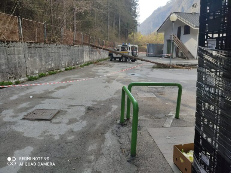 1a40c204-aea8-4c40-a69b-f644d72d285e