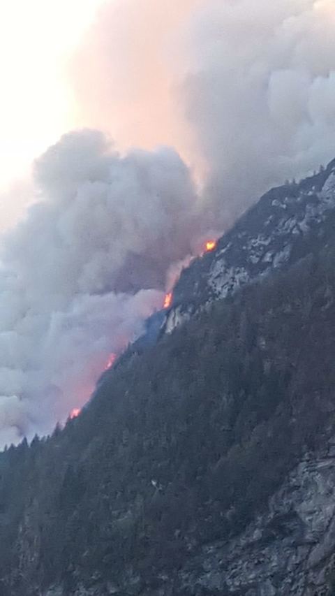 4061225_00aad04b-a6c9-4ed2-8b25-115418d47bdd