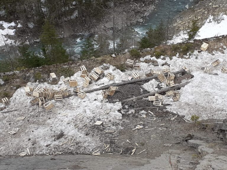 4f4b3c37-5b8d-44d5-b9dd-51b98e2934be