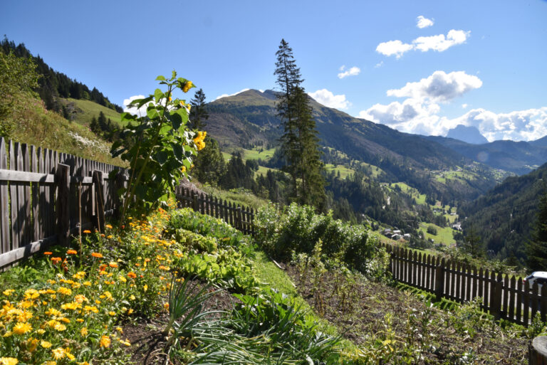 Bio Col Alp – progetto