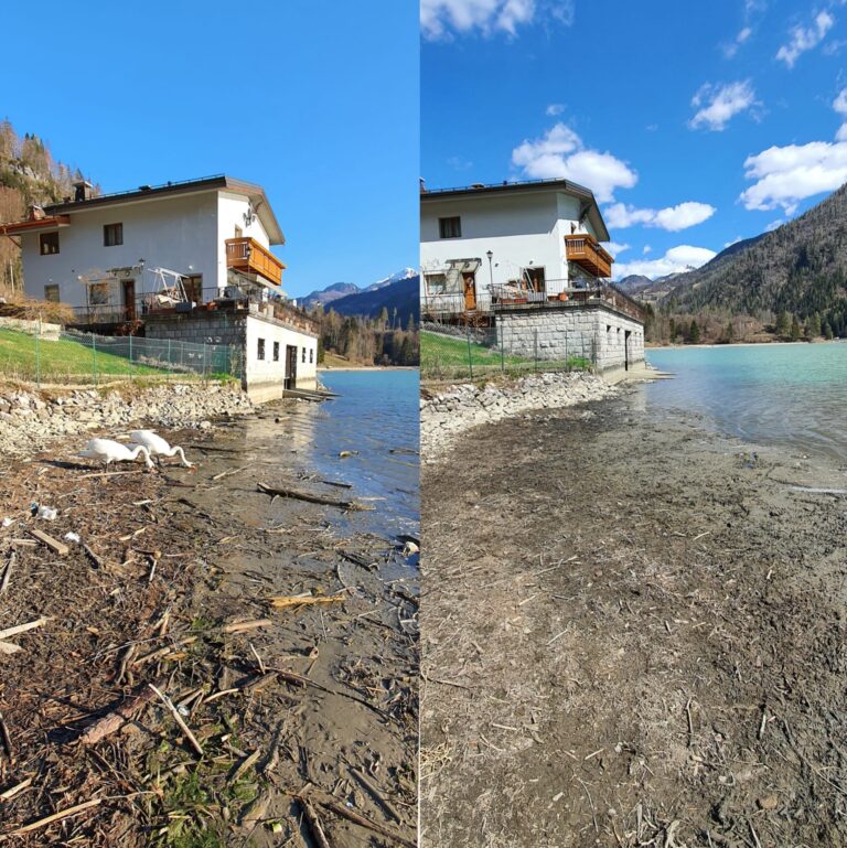 b4e736f0-d787-4785-b4db-b157babd4894