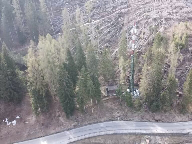 b5c5703e-7880-4a68-8895-157d9c787ac5