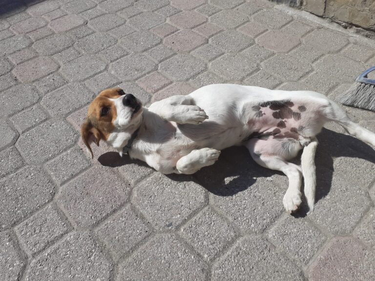 e98563ce-c26d-4ee0-bd87-5d5a521f1b59