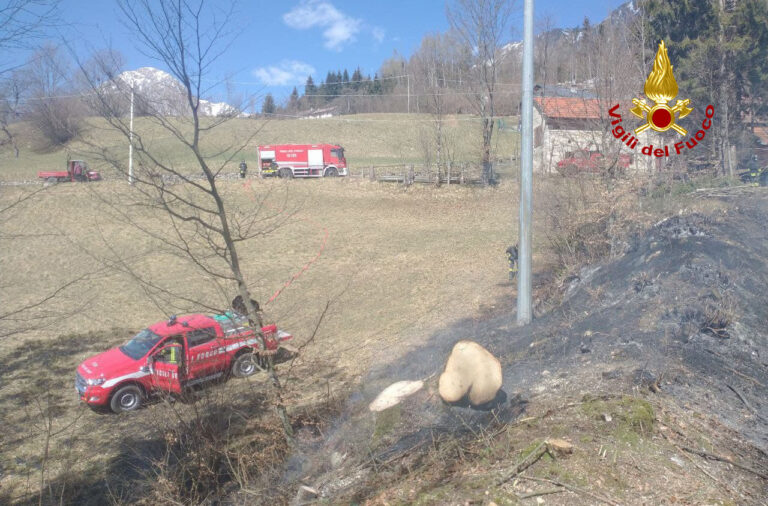 f302bc93-f359-4189-83b5-188e7b8aa99b