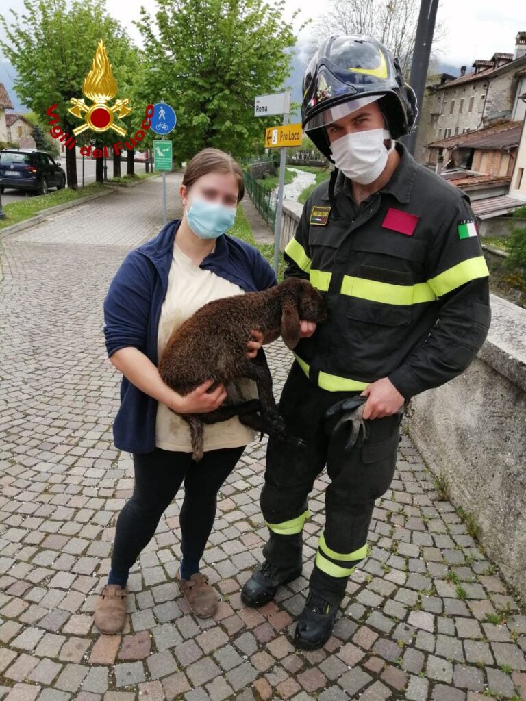 f5c25e60-7c3e-4cf6-bb3b-24b9b1788f01