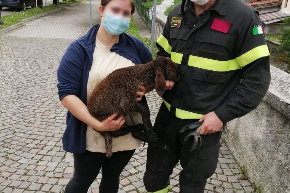 f5c25e60-7c3e-4cf6-bb3b-24b9b1788f01