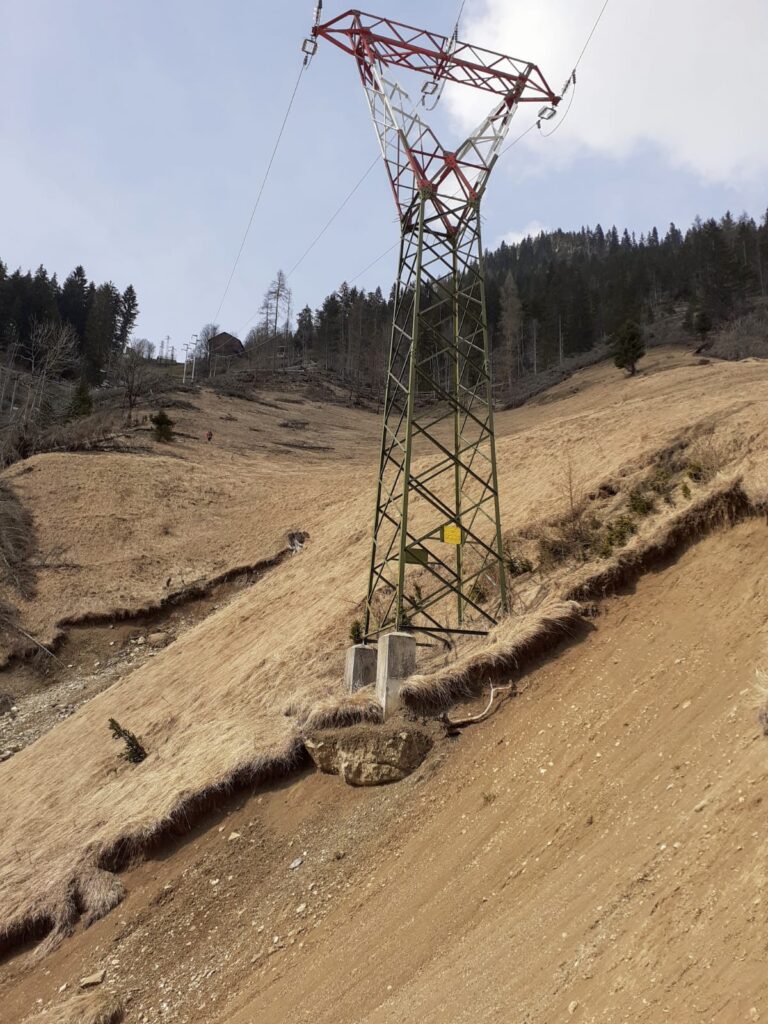 f7c6e37b-9761-403d-93b8-2508cbcbca9f