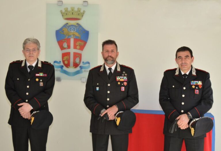 0489bb79-d088-448e-87a1-c5ab9ef002ba