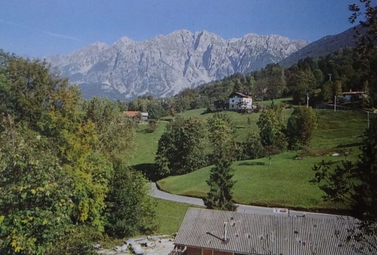 183431709_799428720999709_5252921231722841178_n