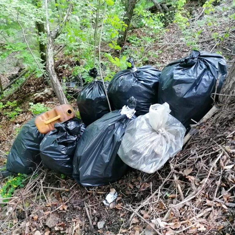 191507746_508558123520035_3902309519626336735_n