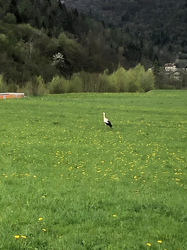 1BBE1F20-464A-48EC-B1F6-538766E119B7