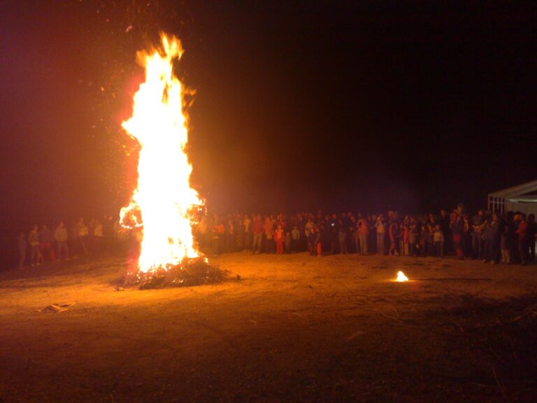 1d1d4d46-7251-4733-a219-9c0700e7847d