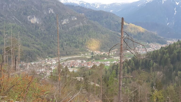 26f26460-4be5-45c6-86de-11b0605b2ef2