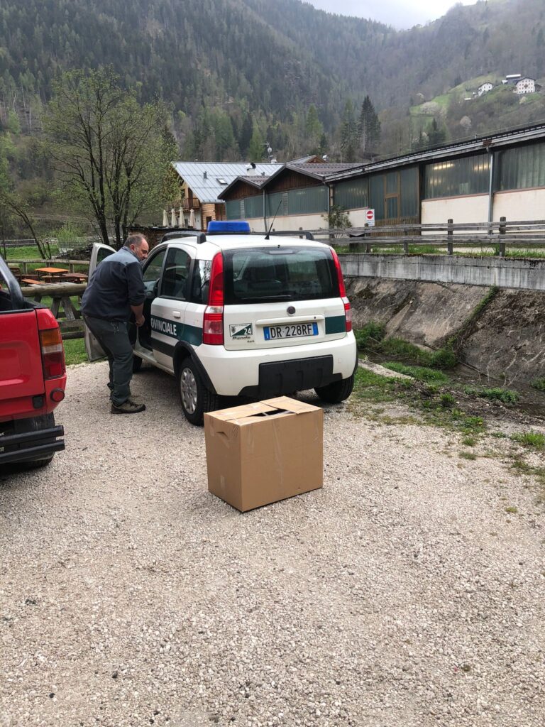 27d84e14-2aa5-4c14-b89a-0d1b4d428838