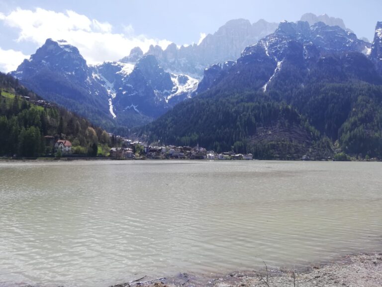 2c16481f-bb4f-4bcb-b3b9-aa4864792de5