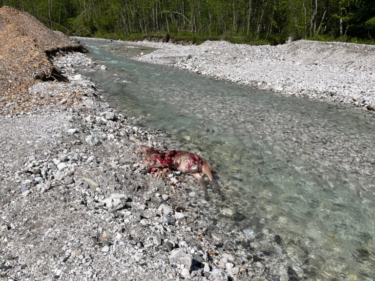 51c8ada9-4fca-4aff-b639-db8faea6d10f