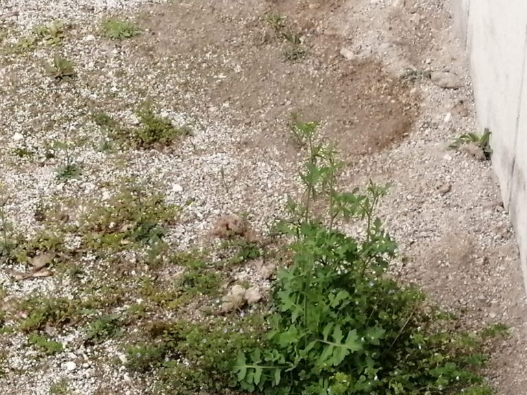 56c50db9-3beb-4bac-841c-a828b5f8f56b