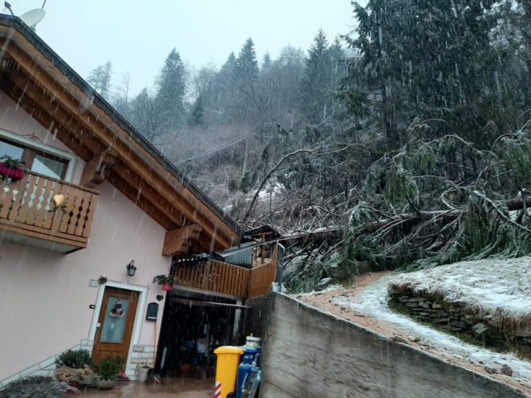 6ffeac96-d8b9-4903-b1cc-29229587f1d6