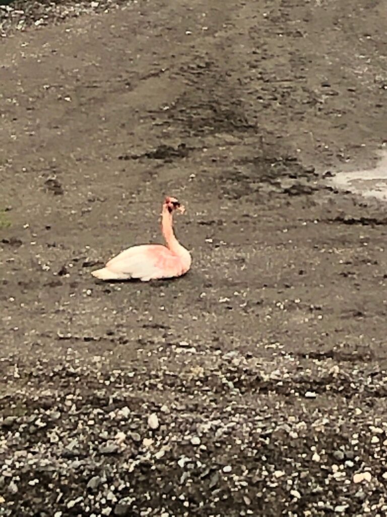 73a7a252-859a-4728-b7a9-0c89d8ea8eb6