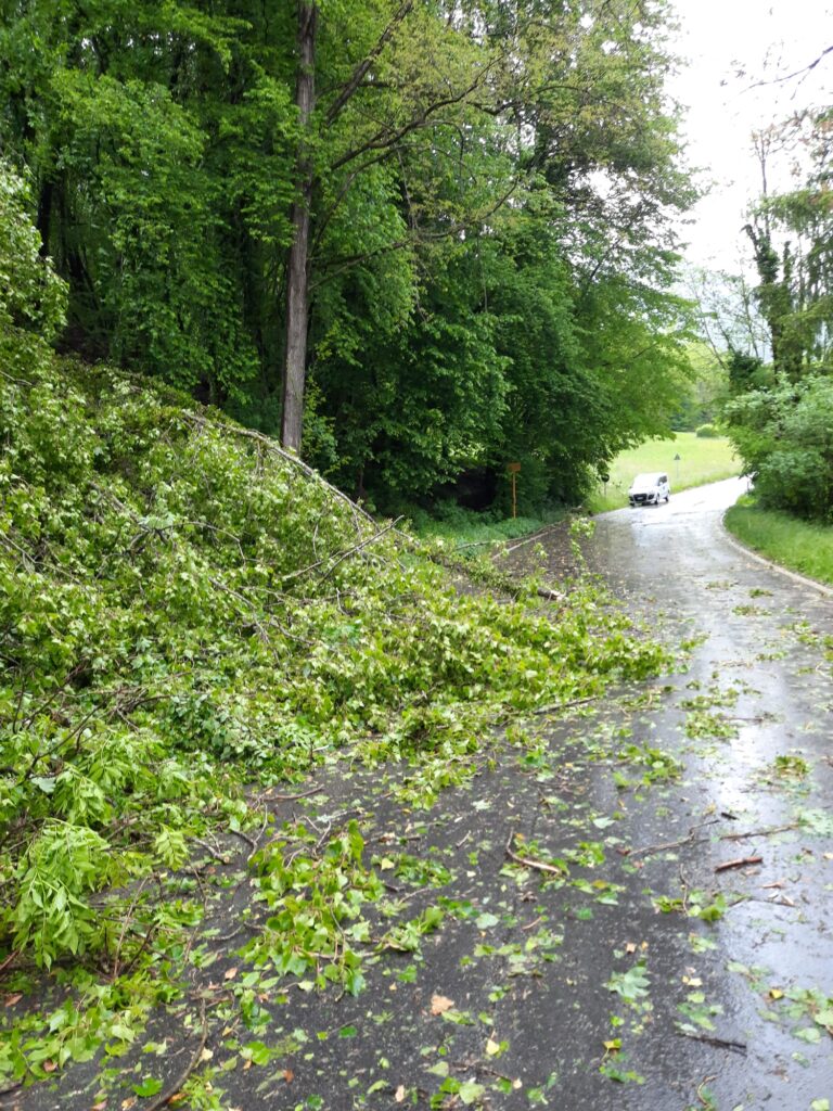 7c8976d4-c0b6-47ac-9190-ed703e38b09d