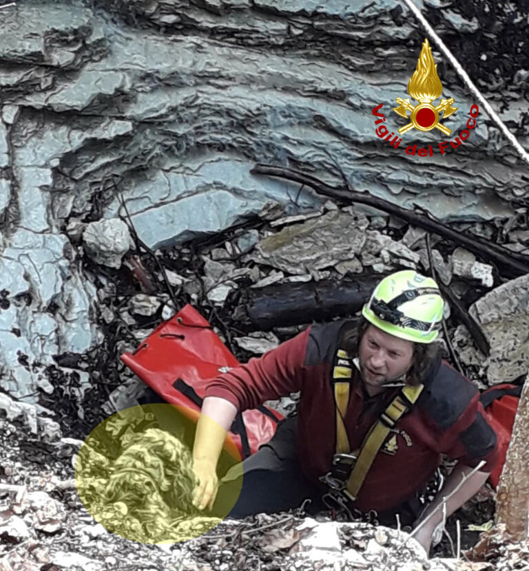 9518ab54-e0f4-4846-89bb-3c88ec5250a0