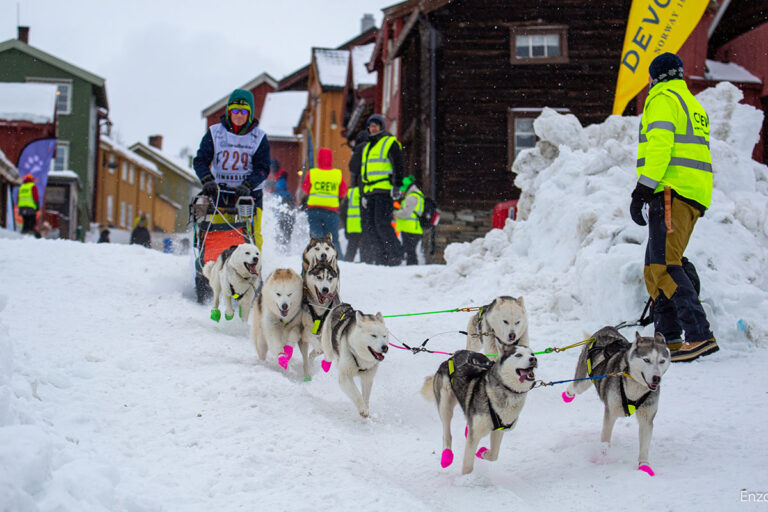 Anselmo-Cagnati_cani-slitta_06