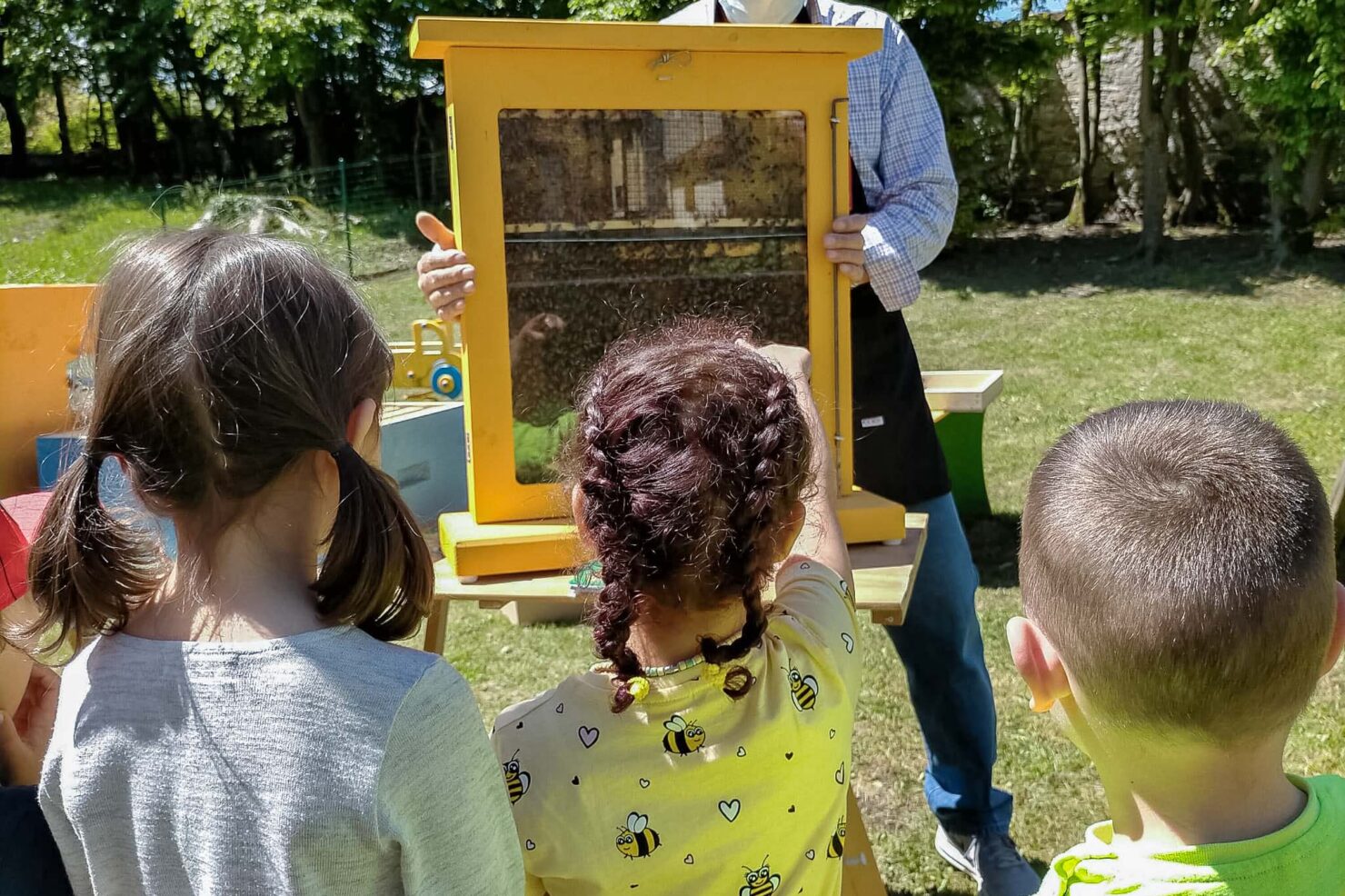 Giornata mondiale api 2021 – Bambini asilo Cairoli (11)