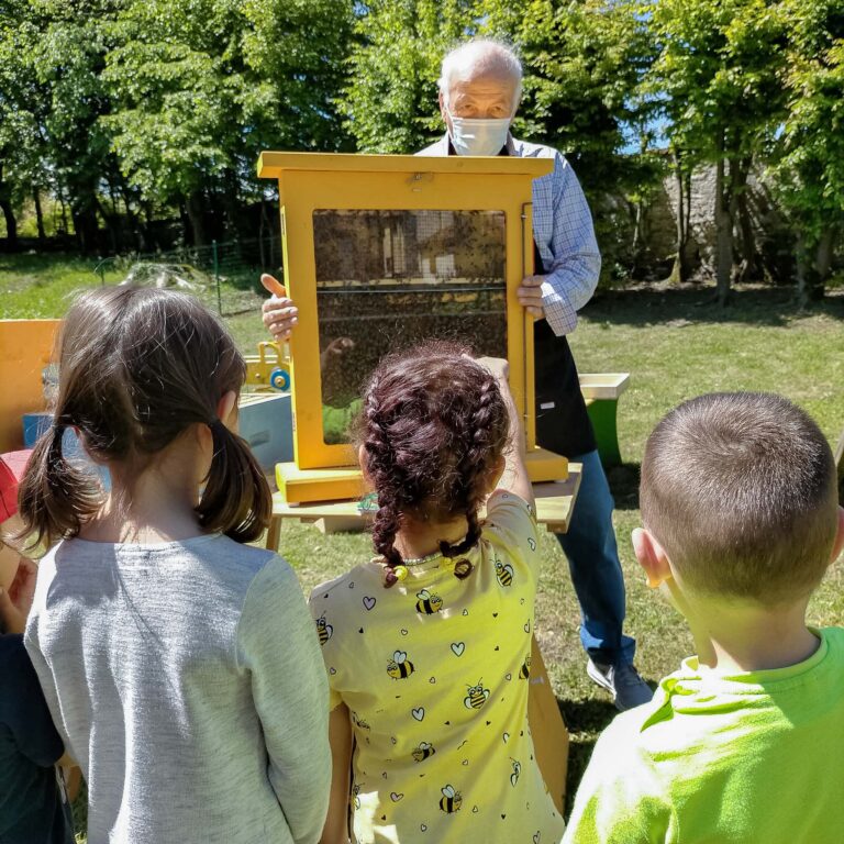 Giornata mondiale api 2021 – Bambini asilo Cairoli (11)