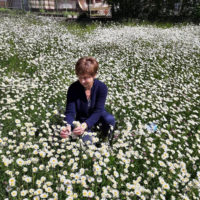 IMAGE 2021-05-13 09:20:44