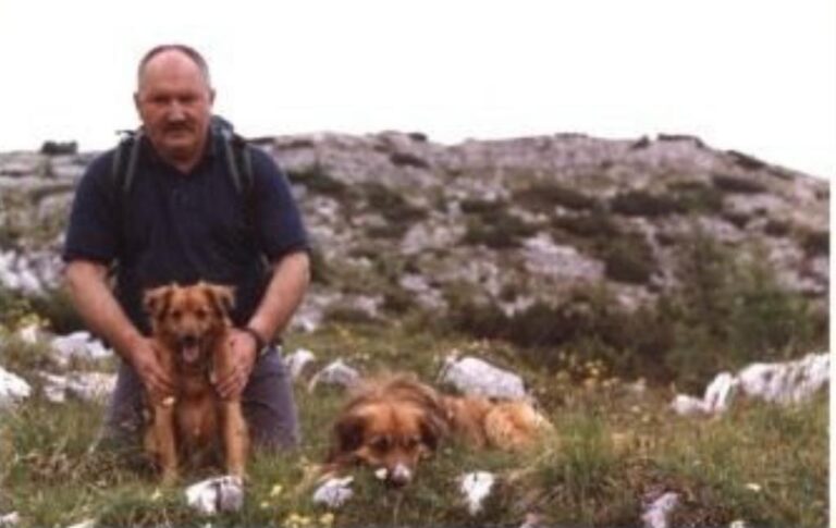 ae41342c-d5eb-4633-8ae7-d7865ad1a86a