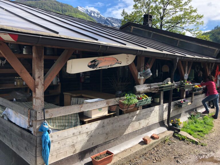 c62ac457-b182-4c9b-8498-e6959b0a6215