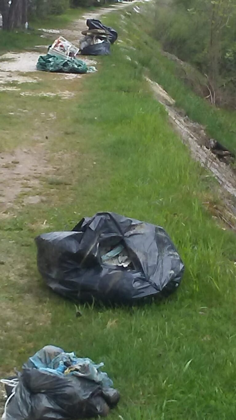 dee57977-f636-4ea0-b86b-22d61884c4e7