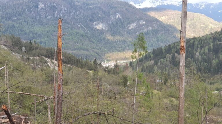 f0d5a465-9bb7-45f9-92c2-b07aa38b339e