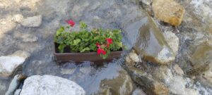 0578083a-89ea-45bf-a63d-4b34100963ac-300×135