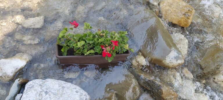 0578083a-89ea-45bf-a63d-4b34100963ac