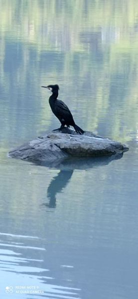 192950937_10219140776972288_6699133753035262982_n