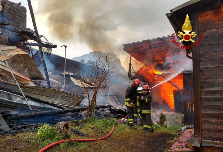 1abb3f1b-fbb8-48a0-abfd-9118c9ac2080