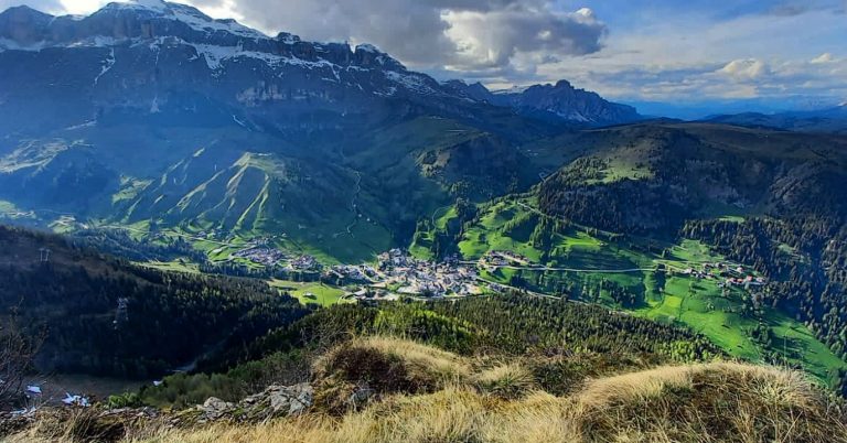 1e386086-4d22-4b2e-b3bd-510aa8c95590