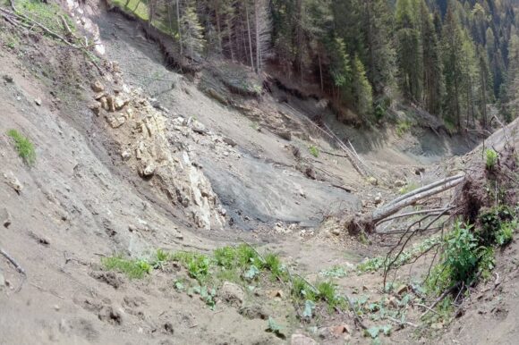 24651715-3293-4a9b-81e3-ff2c8abea71c