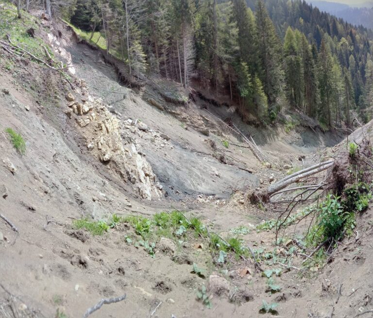 24651715-3293-4a9b-81e3-ff2c8abea71c