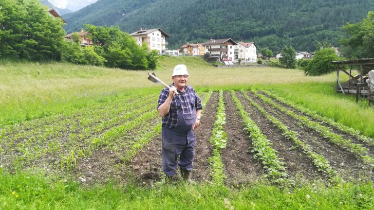 31bbfdde-b9f8-40bd-99a2-1e4206bac152