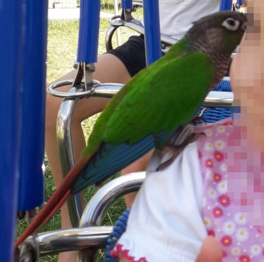 37f15e0c-1cb3-4cf7-9e74-68c836c5744b